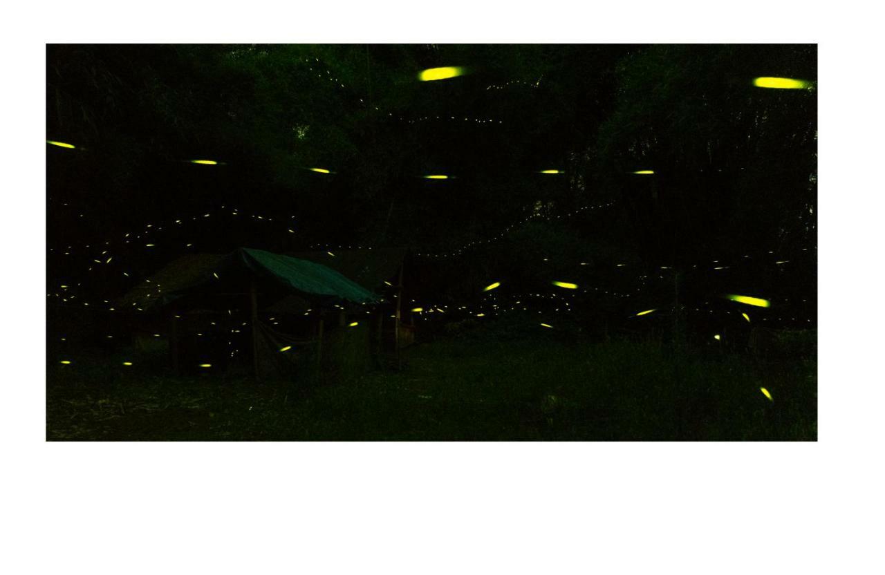 Yangshuo Yunshe Mountain Guesthouse Dış mekan fotoğraf